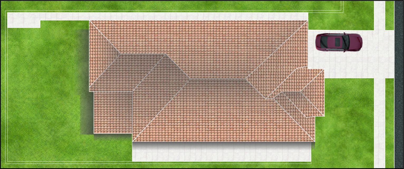 Medium Grass