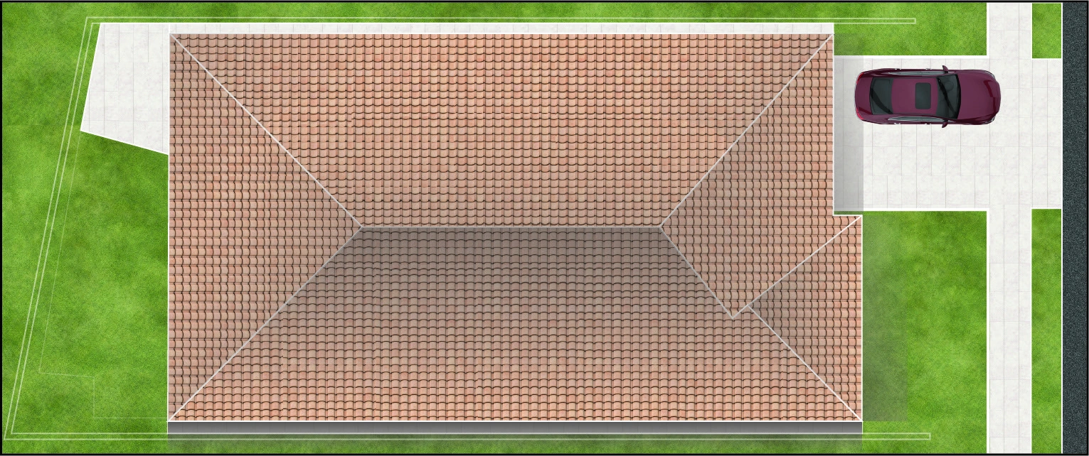 Small Grass